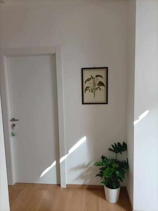 Loving My Rooms 1 - Deliziosa Mansarda In Centro Gorizia Ngoại thất bức ảnh